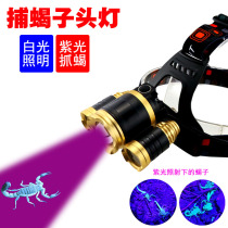 Special headlight spotting scorpion lamp catching scorpion lamp strong light super bright charging head-mounted catching catching scorpion lamp lamp purple light