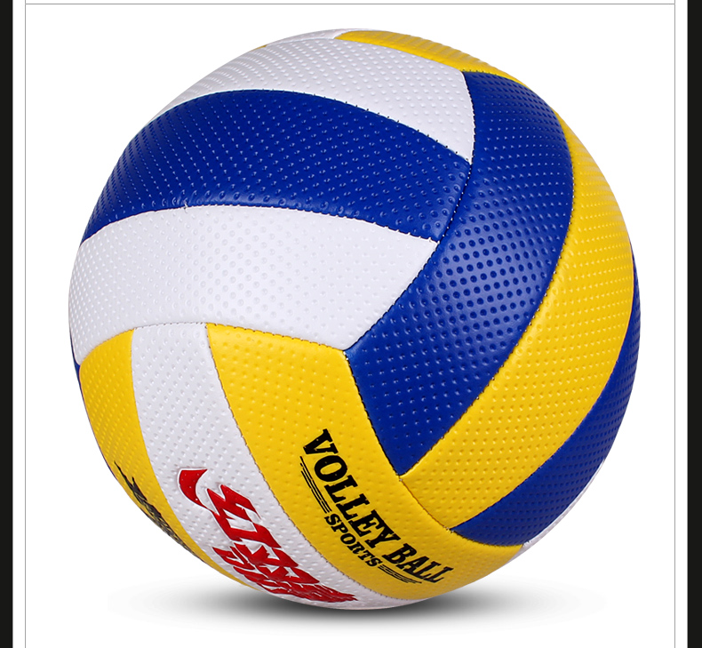 Ballon de volley - Ref 2007899 Image 19