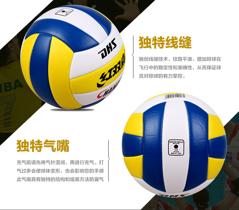 Ballon de volley - Ref 2009172 Image 10
