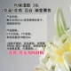 Lmdec giả da hoa giả hoa giả hoa bảo vệ hoa trang trí cắm hoa nhân tạo hoa lily sàn cắm hoa - Hoa nhân tạo / Cây / Trái cây