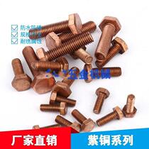 2019 screws t2 red copper Outer hexagonal positive red bronze authentic double head u type non-labeled red copper bolt M5M6M8M10