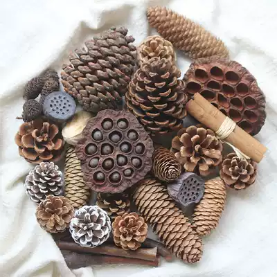 Pine Cone Decoration with Seed Dry Lotus Natural Dry Flower Kindergarten Dry Branches Department Handmade diy Material Package Pine Tower