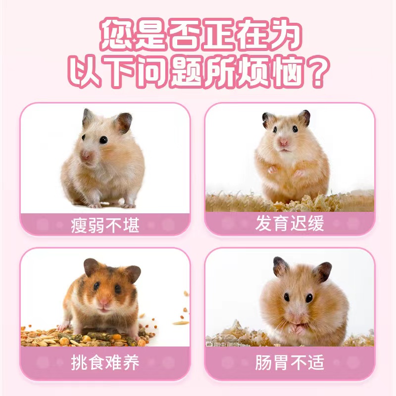 蜜袋鼯羊奶布丁仓鼠花枝鼠零食大揭秘：营养补充新潮流，宠物也爱的水果冻训练奖励！