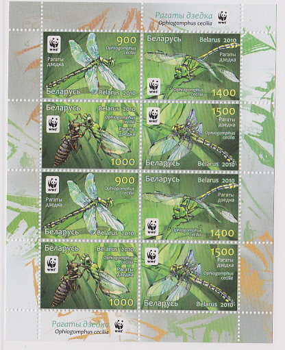 Belarus 2010 WWF stamp Dragonfly small version 1 brand new ticket