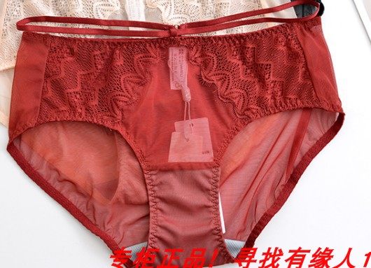 Ovisli new 220101 women's mid-waist triangle mesh underwear with 220001 220002