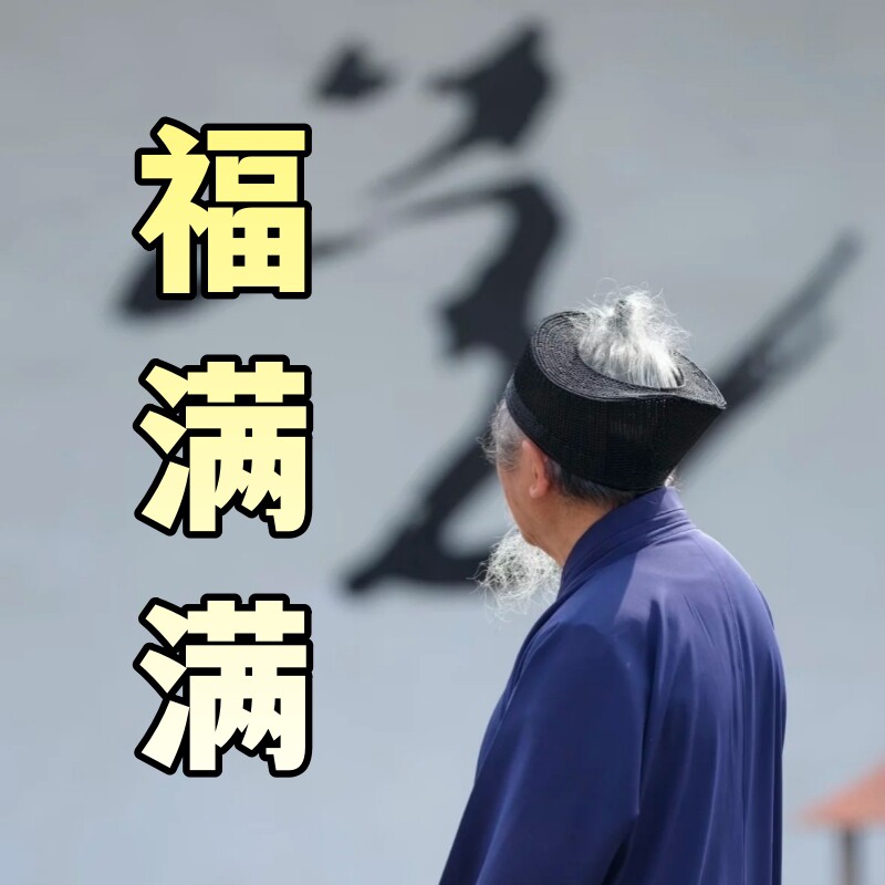 福满满 龙虎山道家正宗雷击木