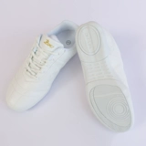 CCA Sports Gymnastics Shoes volkswagen La Raids Training Dance Performance Swie