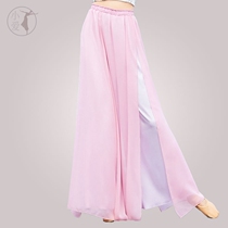 Chinese Wind Classical Dance Dresses Women Nu Pants Training Utility-style Dance Pants Black Easy Double open fork wide leg performance pants