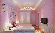 Pink Red Orange Red Rose Red interior wall paint latex paint adjustable color matte childrens room interior paint