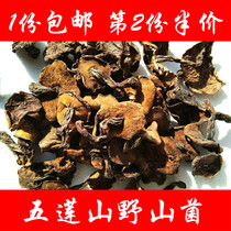 Shandong Wulian Jiuxian Shanzhen specialty food fresh dried wild mushroom pine mushroom sticky nest 250g