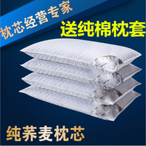 Total Buckwheat Pillow Core Buckwheat Pillow Pure Buckwheat Peel Adult Pillow Children Cervical Spine Buckwheat Pillow Buckwheat Pillow