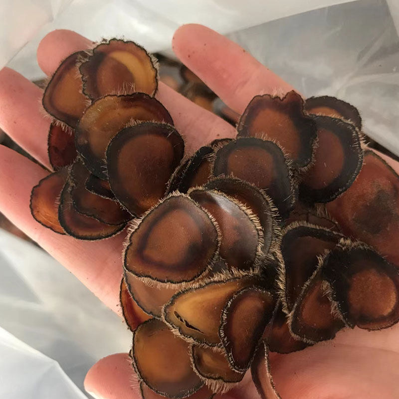 Antler slice full wax sheet 3 gr antler slice dry wax slices Northeast authentic Chinese herbal medicine Bubbles-Taobao