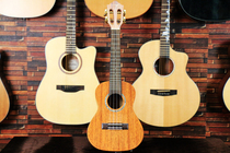 Authorised Tom Yukori Ukrikulele Ukrili TUC200SR face back veneer send gift package