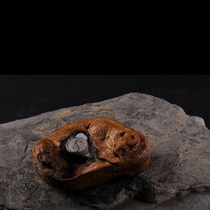  Taihang cliff cypress cow Reverse the universe Cow sky root carving wood carving entrance Bogu frame Living room Chinese decoration hand string