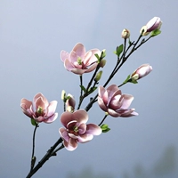 7 -х голова магнолия (розовый)