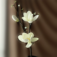 Ветвь Эмурии (белый)