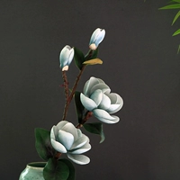 4 Большой Магнолия Орхида