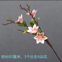 Чувство фильма, Магнолия (розовый)