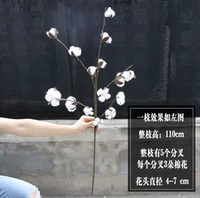 Белая хлопковая ветка (белый)