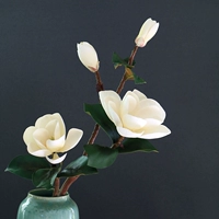 4 Большой Магнолия-Уайт