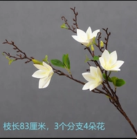 Чувство фильма Магнолия (белая)