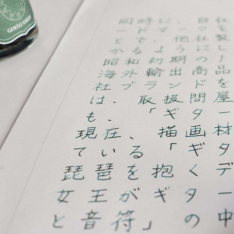 Nakabayashi Zhonglin Japanese Fountain Pen, Elementary School Student Pen, Student-Specific Third-Grade Pen, Men's Business High-End Pen for Boys and Girls, Calligraphy Practice Ink Cartridge Pen, Exquisite Retro Art Pen