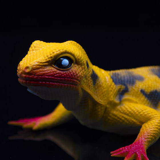 Simulation lizard toy animal model chameleon gecko soft rubber children pinching and screaming plastic animal toys