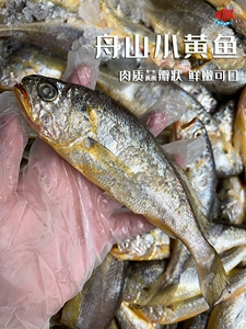 [Свекровь морепродукты] Жушан Свежая средняя полоса