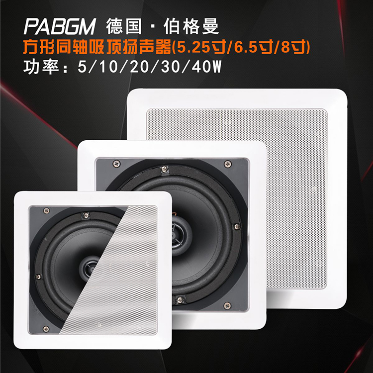 Square Ceiling Speaker Coaxial Constant Pressure Suspended Ceiling Audio Ceiling Speaker Embedded Speaker 20W
