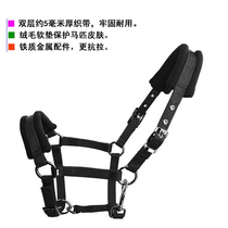 Webbed bridle head sponge padded to protect horse skin Metal eye buckle for more atmospheric adjustable length