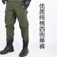 Зеленые 4 -портовые одиночные брюки