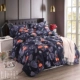 Chăn lông cừu dày bao gồm một mảnh flannel hai mặt cộng với nhung phim hoạt hình sang trọng mùa đông flannel quilt cover nữ đơn đôi chăn siêu nhẹ