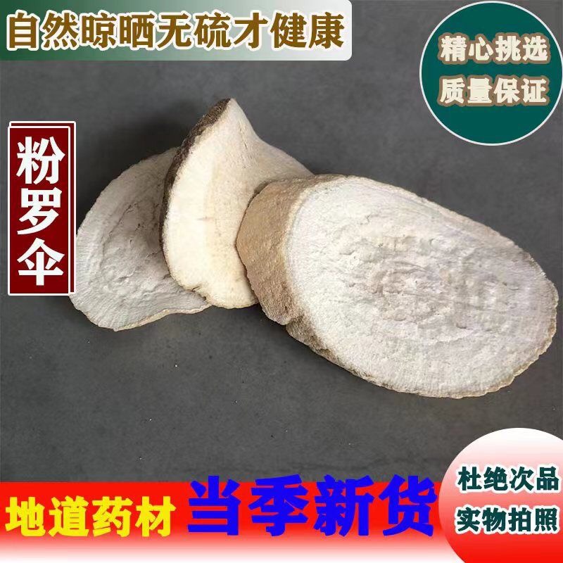 Pink Umbrella Grass, Large Umbrella Grass, Chinese Medicinal Herbs, Yulang Grass, Mudu Grass, Shandayan Grass, Daoxu Grass, Shandadao Grass, Wild, Free Shipping