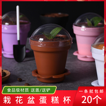 Zhen meal baking diy potted cake Cup flower potted ice cream cup tiramisu yogurt Wood Cup