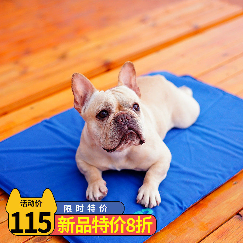Pet Mat Moistureproof summer dog bed resistant to biting non-stick gross teddy infighting dog kennel KH water injection radiating cushion
