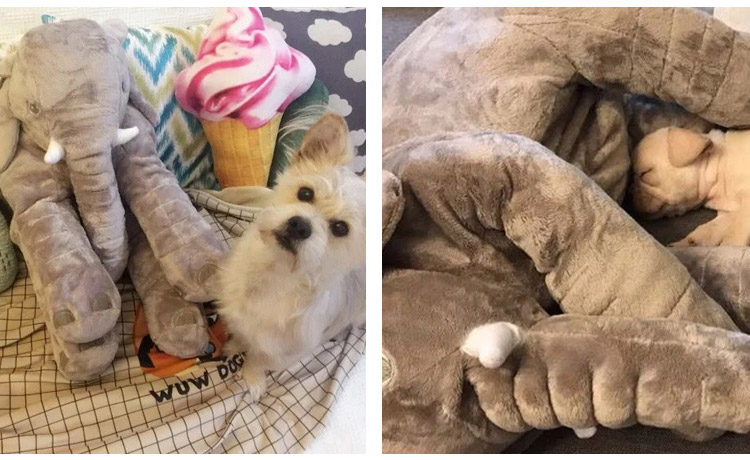 Búp bê voi, chiến đấu, Keji Teddy, Shiba, Pugbit, bạn ngủ, đồ dùng cho thú cưng, mèo, chó, đồ chơi, gối banh đồ chơi cho chó