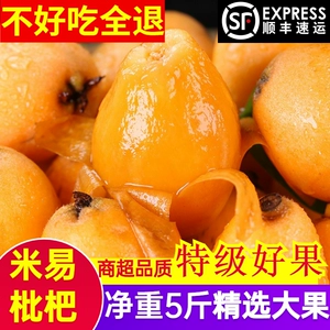 SF Express Сычуань Паньчжихуа Рисовая мушмула Свежая 5 Цзинь Большая фруктовая подарочная коробка Ранняя мушмула Ранняя весна Мушмула Пипа