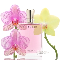 LANCOME Lancome true love miracle lady fragrances miracle 30 50 100ml