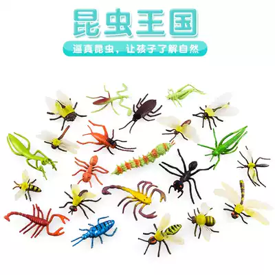 Simulation mini insect soft glue model Halloween large ornaments children's cognitive toy spider bee centipede Ant