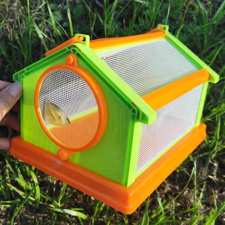 Children's portable handheld science teaching observation box outdoor enlarged butterfly cage rearing silkworm rearing insect observation box
