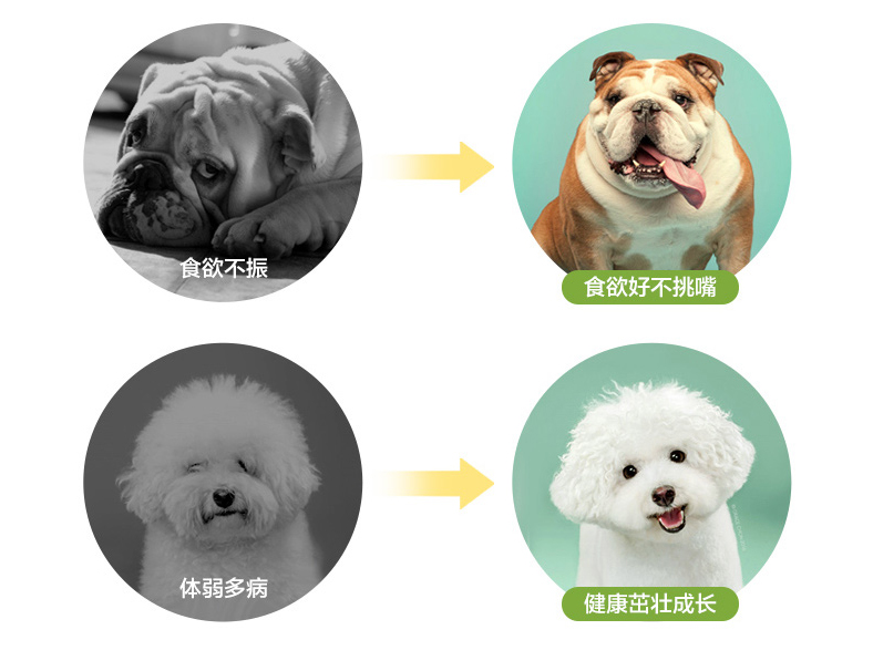 Thức ăn cho chó phân tán kháng với Bấc Teddy hơn gấu VIP Bomei schnauzer chó con nhỏ trưởng thành thức ăn cho chó loại 1 kg - Gói Singular hạt whiskas
