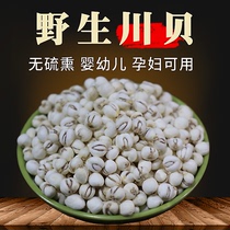 250 gr Sichuan Fritillary Sichuan T Производят Ganzi No Серы Китайский Травяной Лекарь Аутентичный Дикий Сичуань Фритиллярный Порошок Может Измельчится Порошок