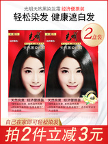 Light Natural Black Dye Hair Cream Dye Hair Dyeing Cream 40g Plant Shade White Mild Hair Color Natural Black 2 Boxed