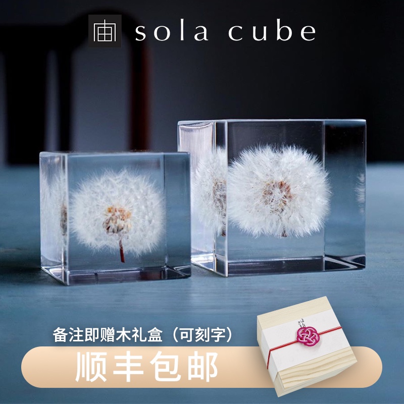 Spot Japan Zeus imported sola cube cube Dandelion scale creative desktop decoration graduation gift