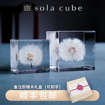  Spot Japan imported sola cube cube dandelion specimen creative desktop decoration Tanabata gift