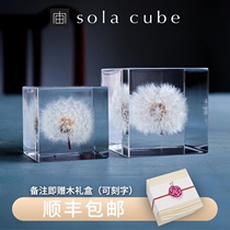 Spot Japan imported sola cube cube Dandelion specimen creative desktop decoration graduation gift