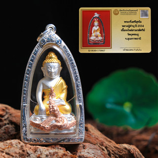 泰国佛牌 龙婆堪布 苏斌 三色盘龙药师佛 纯银壳正牌项链吊坠2554