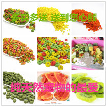 Dutch pig guinea pig hamster rabbit living pet molar snack pure natural healthy nutrition vitamin no pollution