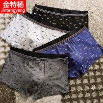 Modal underwear mens pure cotton boxer Korean style fashion ice silk trousers youth solid color loose large size boxer pants