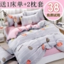 Chăn bông đơn 1,2 giường ngủ sinh viên ký túc xá đơn đôi hai mảnh cotton 1,5m1,8 m - Quilt Covers mền tuyết